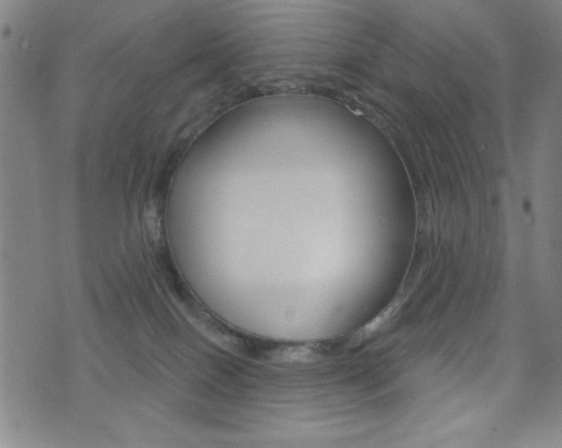 X0000072940086200607210918