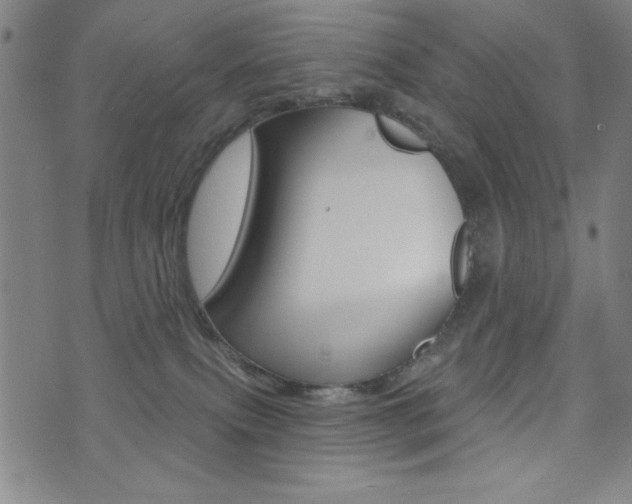 X0000072940087200607210918