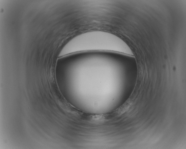 X0000072940088200607210918