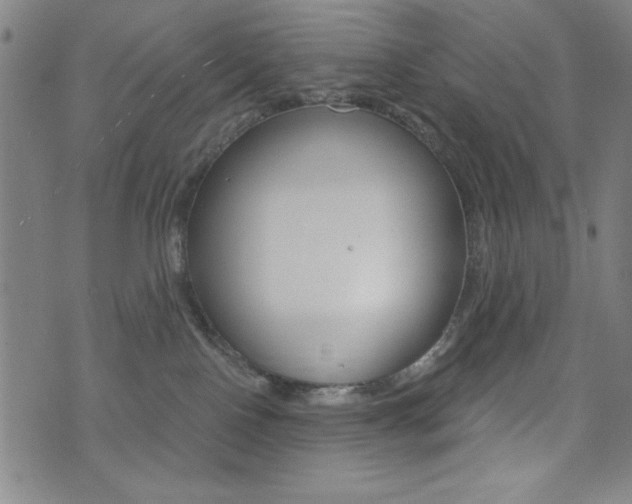 X0000072940090200607210918