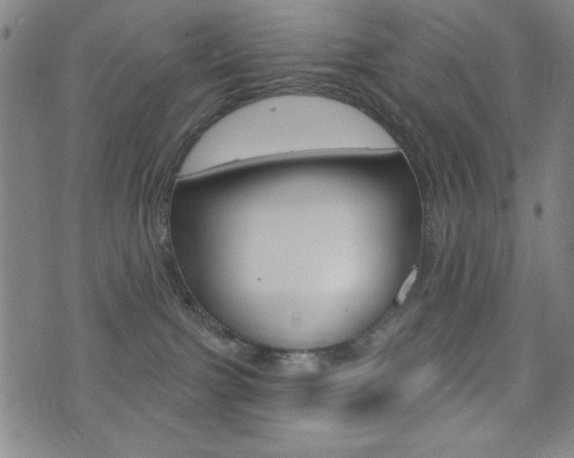 X0000072940091200607210918