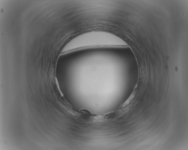 X0000072940092200607210918