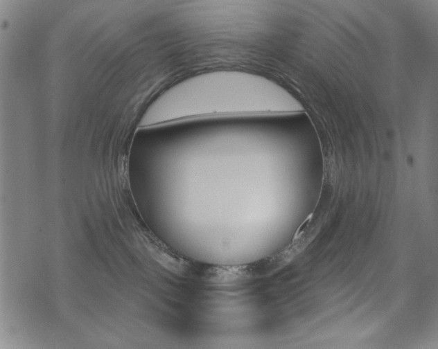 X0000072940093200607210918