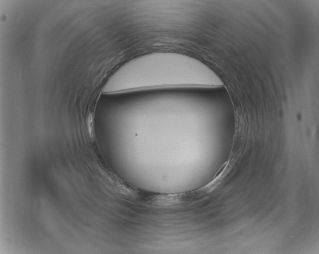 X0000072940094200607210918