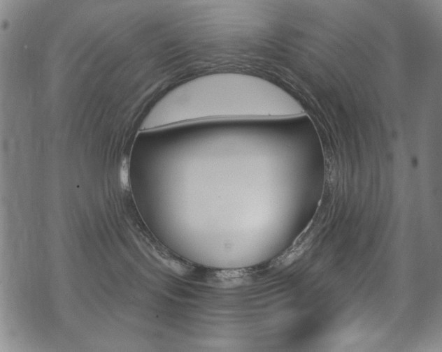 X0000072940095200607210918