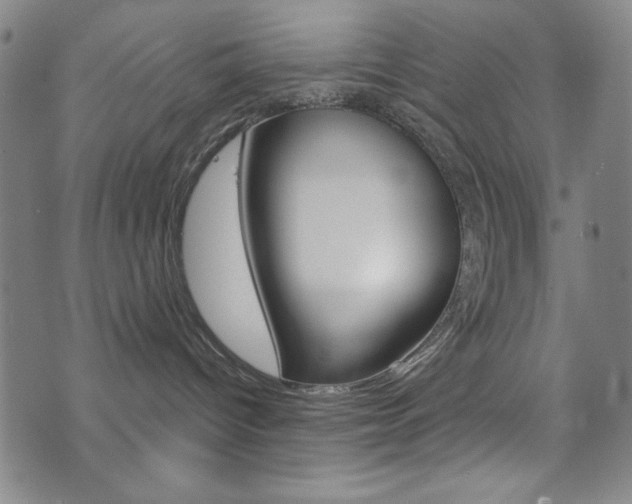 X0000072940096200607210918