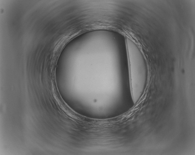 X0000072940097200607210917