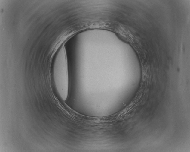 X0000072940098200607210917