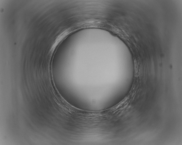 X0000072940099200607210917