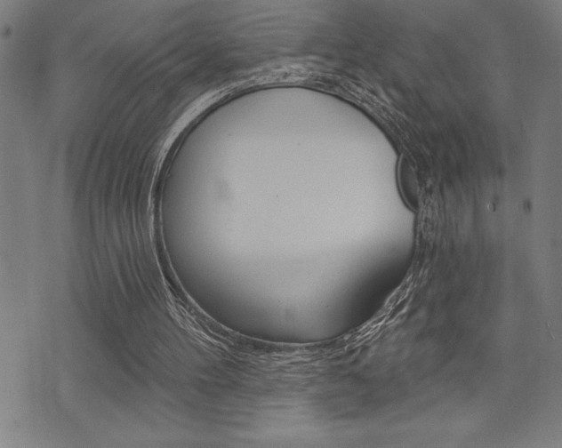 X0000072940100200607210917