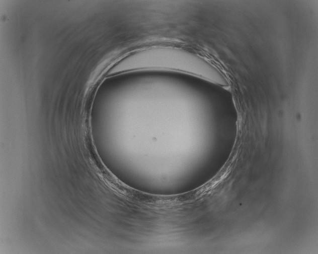 X0000072940101200607210917