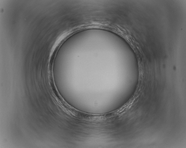 X0000072940102200607210917