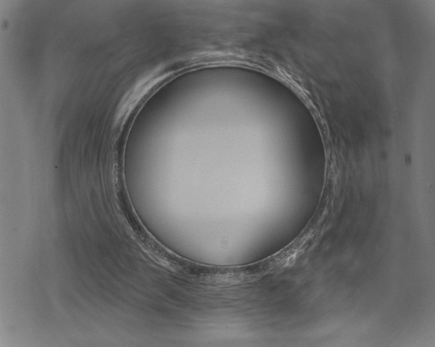 X0000072940103200607210917