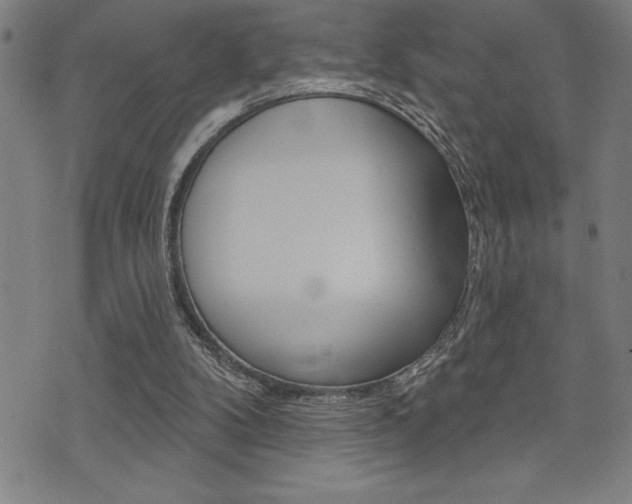 X0000072940104200607210917