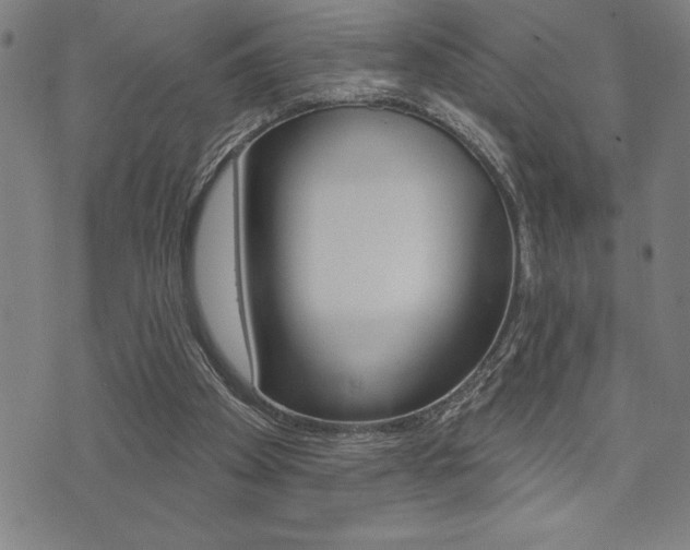 X0000072940105200607210917