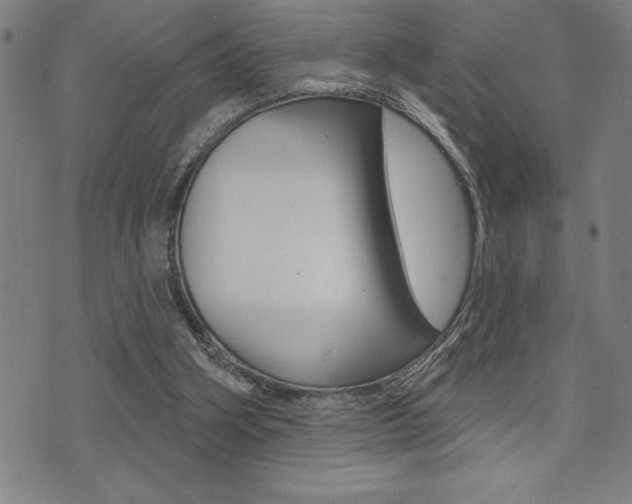 X0000072940106200607210917