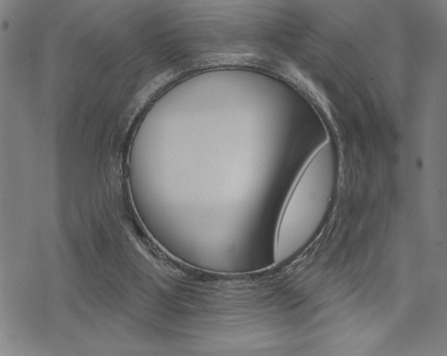 X0000072940107200607210917