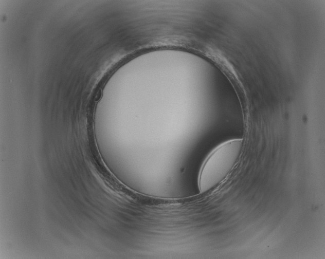 X0000072940108200607210917