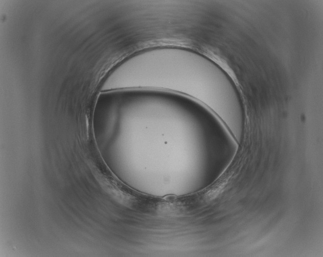 X0000072940109200607210917