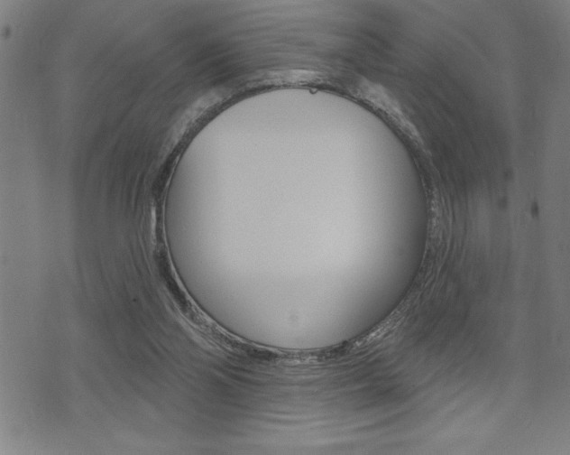 X0000072940110200607210917