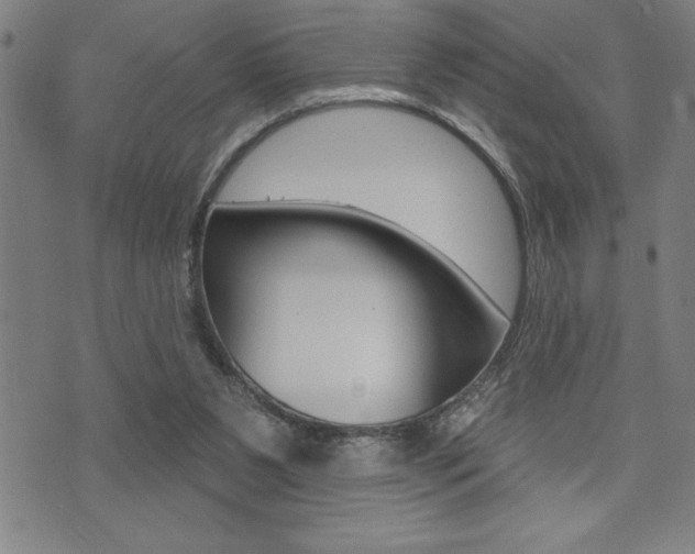 X0000072940111200607210917