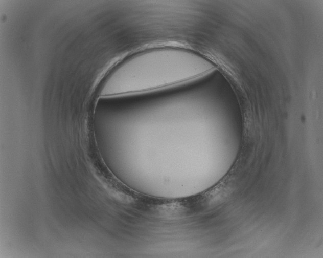 X0000072940112200607210917