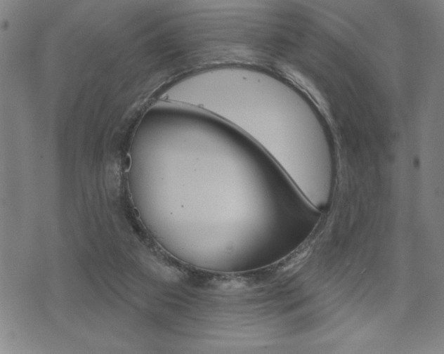 X0000072940113200607210917