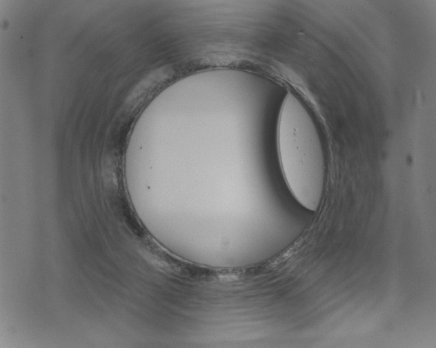 X0000072940114200607210917