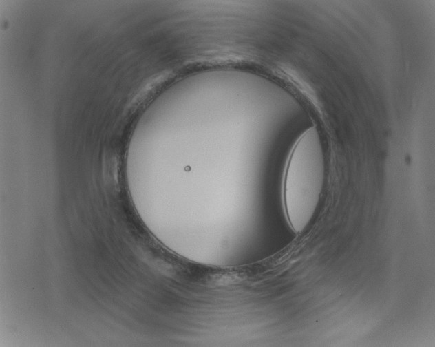 X0000072940115200607210917