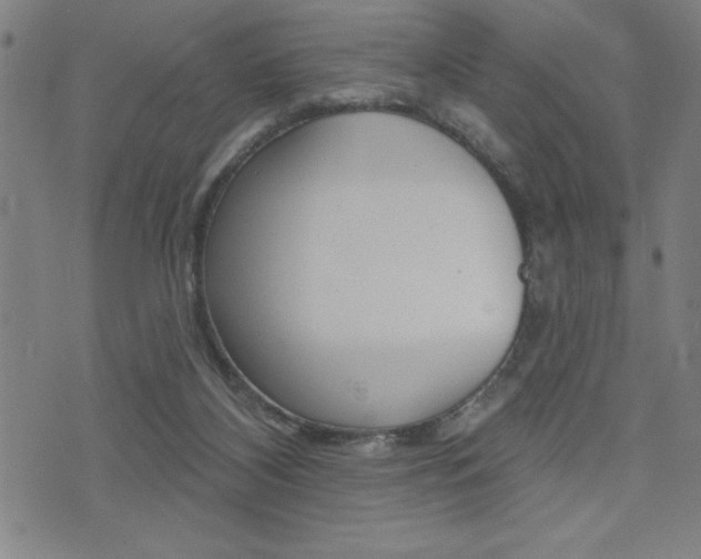 X0000072940116200607210917