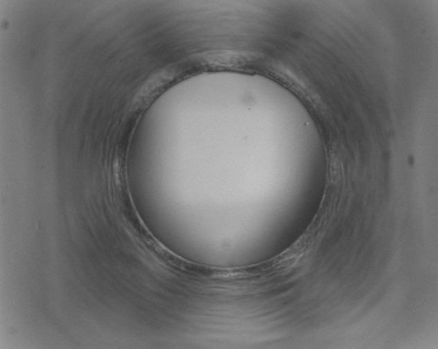 X0000072940117200607210917