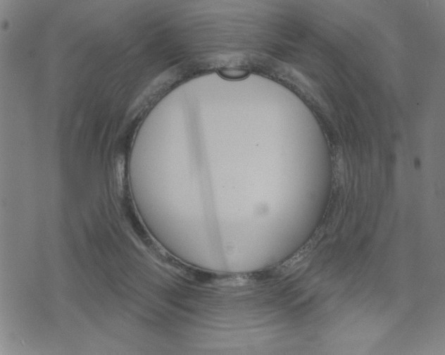 X0000072940118200607210917