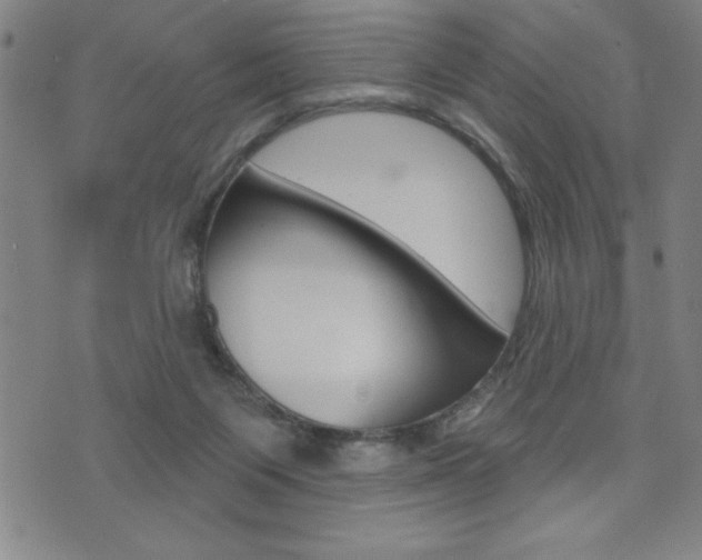 X0000072940119200607210917