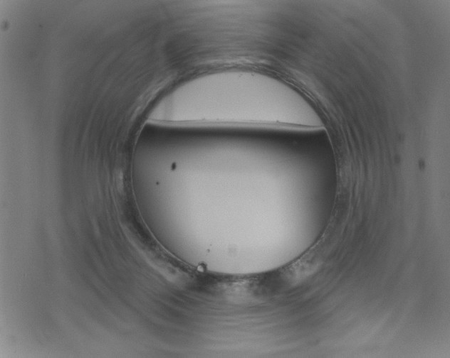 X0000072940120200607210917