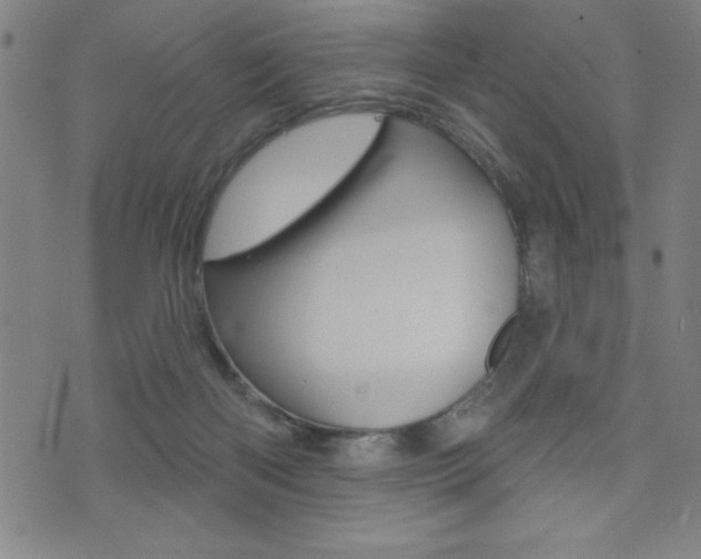 X0000072940122200607210917