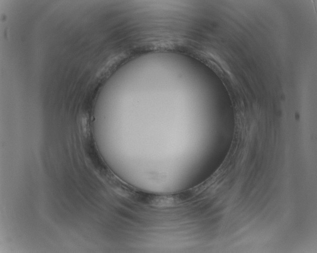 X0000072940123200607210917