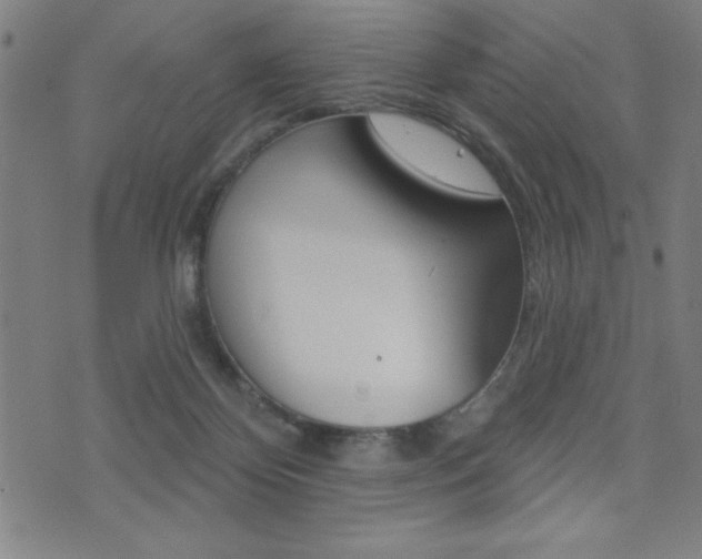 X0000072940124200607210917