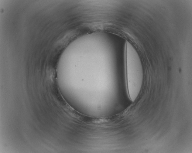 X0000072940125200607210917