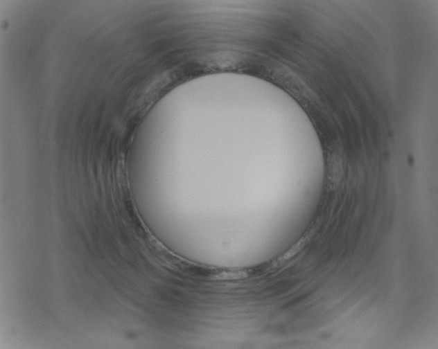 X0000072940126200607210917