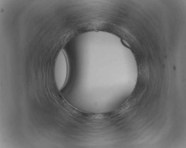 X0000072940127200607210917