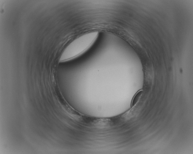 X0000072940128200607210917