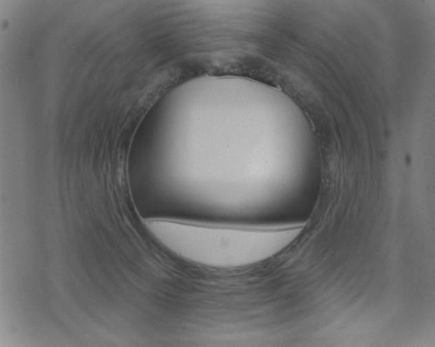 X0000072940129200607210917