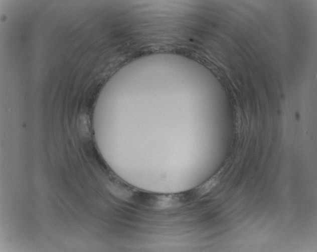 X0000072940130200607210917