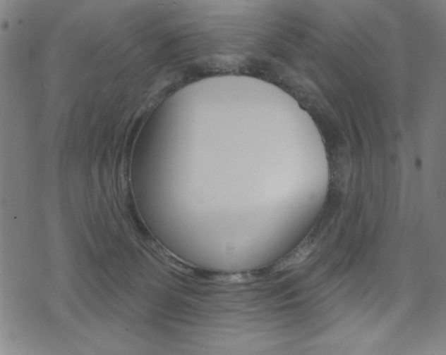 X0000072940131200607210917