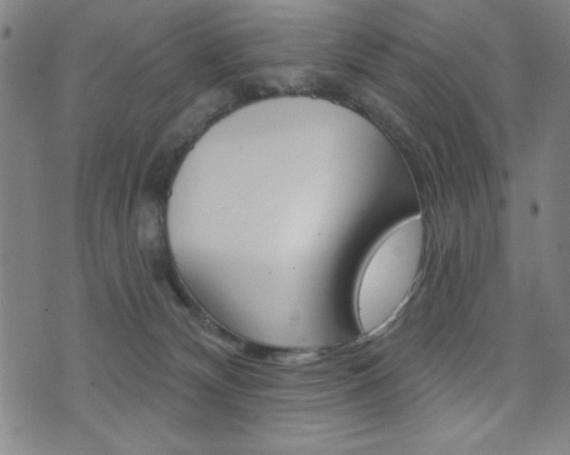 X0000072940132200607210917