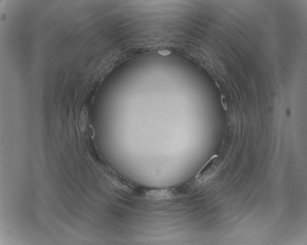 X0000072940133200607210917