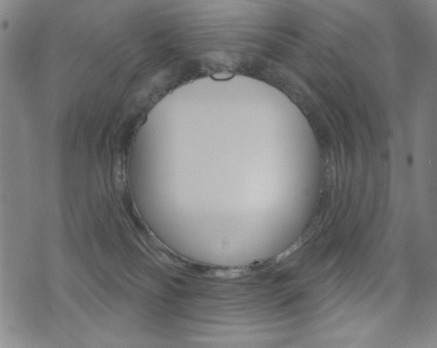 X0000072940134200607210917