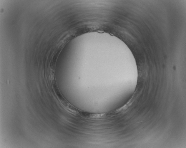 X0000072940136200607210916