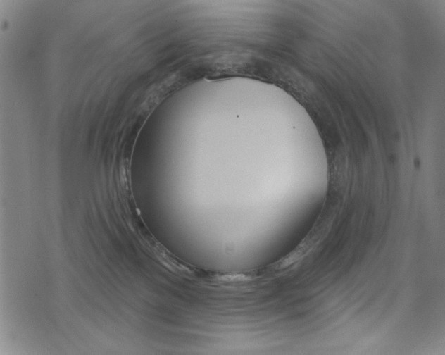 X0000072940137200607210916