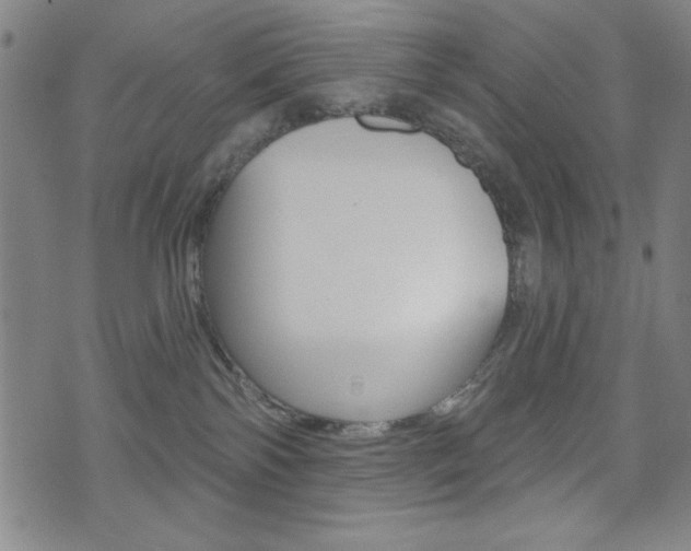 X0000072940138200607210916